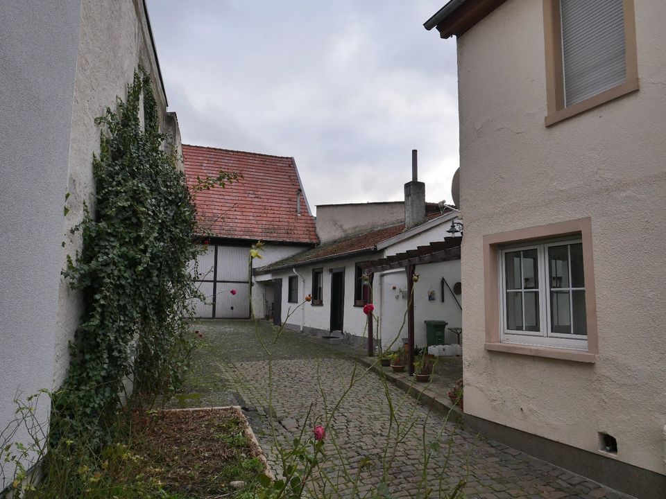 Interessantes (Abriss)Grundstück mit Wohnhaus und Nebengebäuden in Mainz