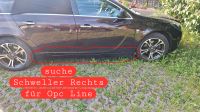 Suche Schweller für  Opel insignia Ops line facelift Mecklenburg-Vorpommern - Ueckermuende Vorschau
