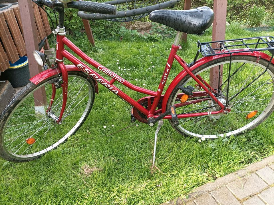 Damenfahrrad 26 Zoll mit 5 Gang Schaltung rot fahrbereit in Thalbürgel