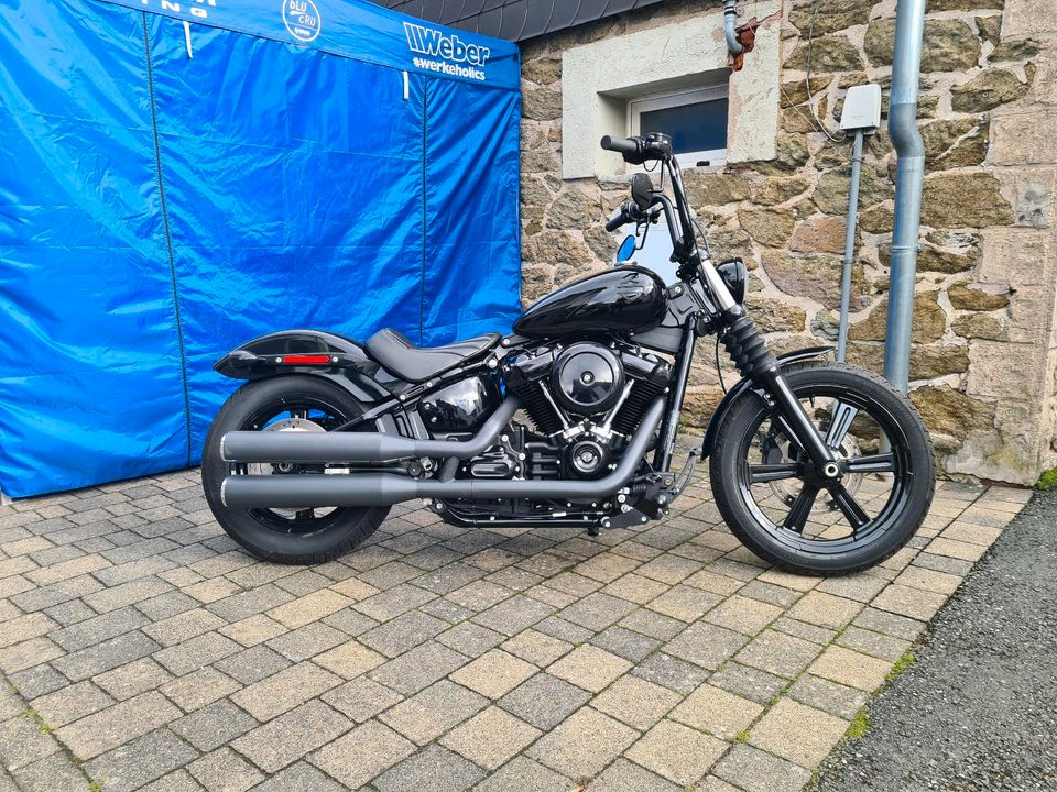 Harley-Davidson Softail Standard 107 in Dillenburg