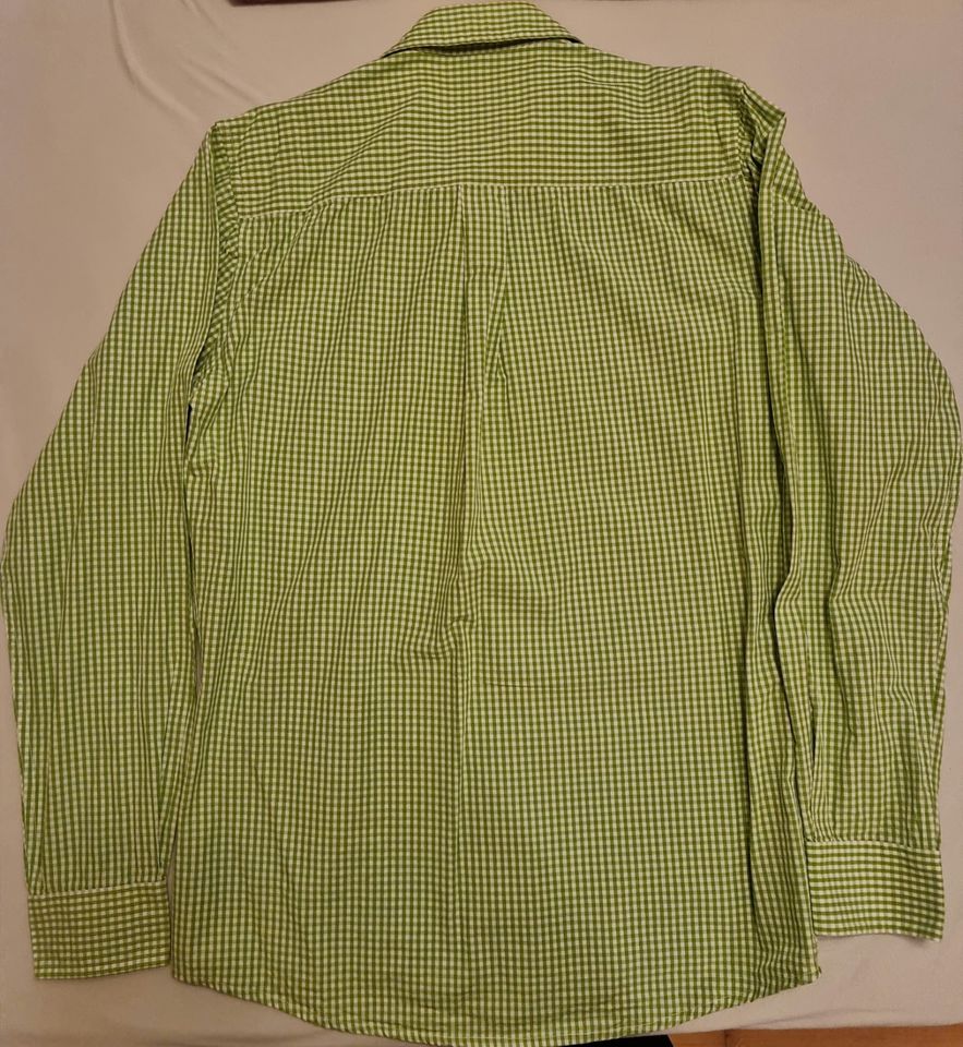 Hammerschmid Trachtenhemd (grün-kariert) Gr. 40 zu verkaufen in München