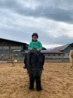 Suchen pony zum Reiten Bayern - Fischen Vorschau