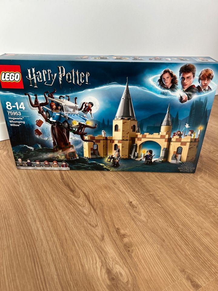 LEGO Harry Potter Hogwarts Sammlung in Trittau