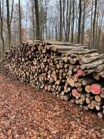 Brennholz/ Industrieholz/ Stammholz Buche Thüringen - Lengenfeld unterm Stein Vorschau