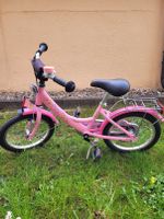 Verkaufe Prinzessin Lilifee Fahrrad 16 Zoll Alu München - Thalk.Obersendl.-Forsten-Fürstenr.-Solln Vorschau