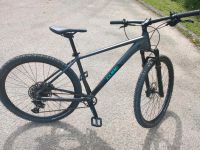 MountainBike Cube Acid 29 2021 L 19 Stuttgart - Bad Cannstatt Vorschau