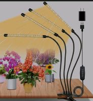 Semai LED Pflanzen Lampe OVP 40 W USB Wachstum 4 Köpfe Berlin - Pankow Vorschau