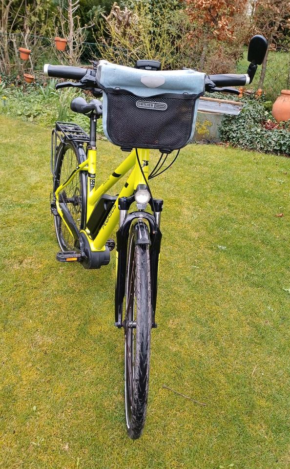 E-Bike Pegasus Solero grün gelb lime Ebike in Isenbüttel