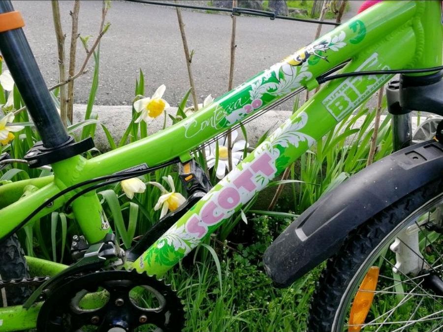 Mädchen Kinderfahrrad 20 Zoll in Horgenzell