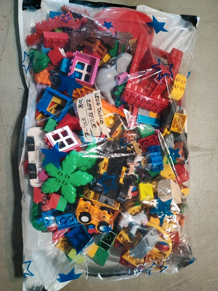 Lego Duplo 289 Teile inkl. Platte, Tiere, Autos, Bäume usw. in Dresden