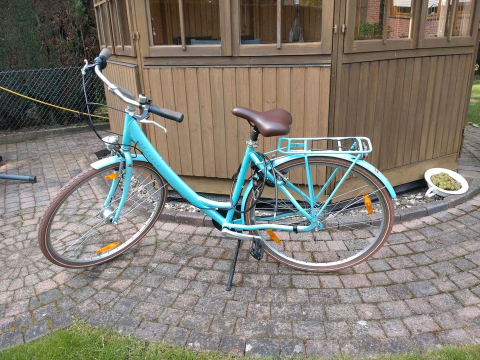 Pegasus Mädchen Fahrrad 28 Zoll in Dorsten