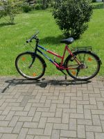 Kinderfahrrad Thunderbrid,guter Zustand Rheinland-Pfalz - Linz am Rhein Vorschau