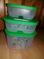 Neu Tupperware Prima Klima Set Dose 1.8l 0.8l 4l grün Gemüse Obst Schleswig-Holstein - Itzehoe Vorschau