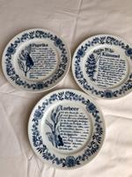 Wandteller DDR Colditzer Porzellan Sachsen - Grimma Vorschau