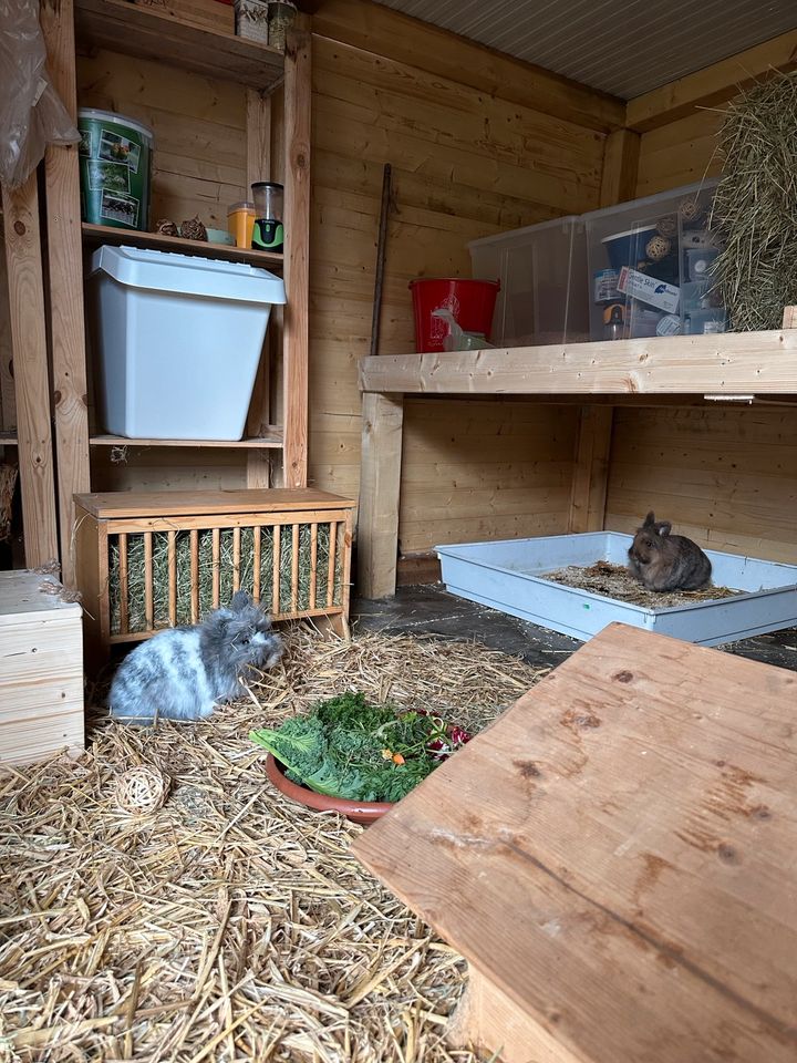 Kaninchen Heuraufe aus Holz, Kleintierzubehör in Friedeburg