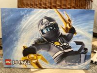 Großes Ninjago Bild Leinwand Zane 60x90cm Nordrhein-Westfalen - Hürth Vorschau