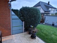 Glassichtschutz Garten Zaun schräg rauchglas/streifen 180x90x90 Nordrhein-Westfalen - Bad Oeynhausen Vorschau