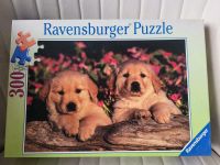 Ravensburger Welpen Puzzle 300 Teile neuwertig Niedersachsen - Göttingen Vorschau