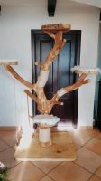 Katzen Naturkratzbaum handgefertigt aus Eiche Bayern - Glött Vorschau