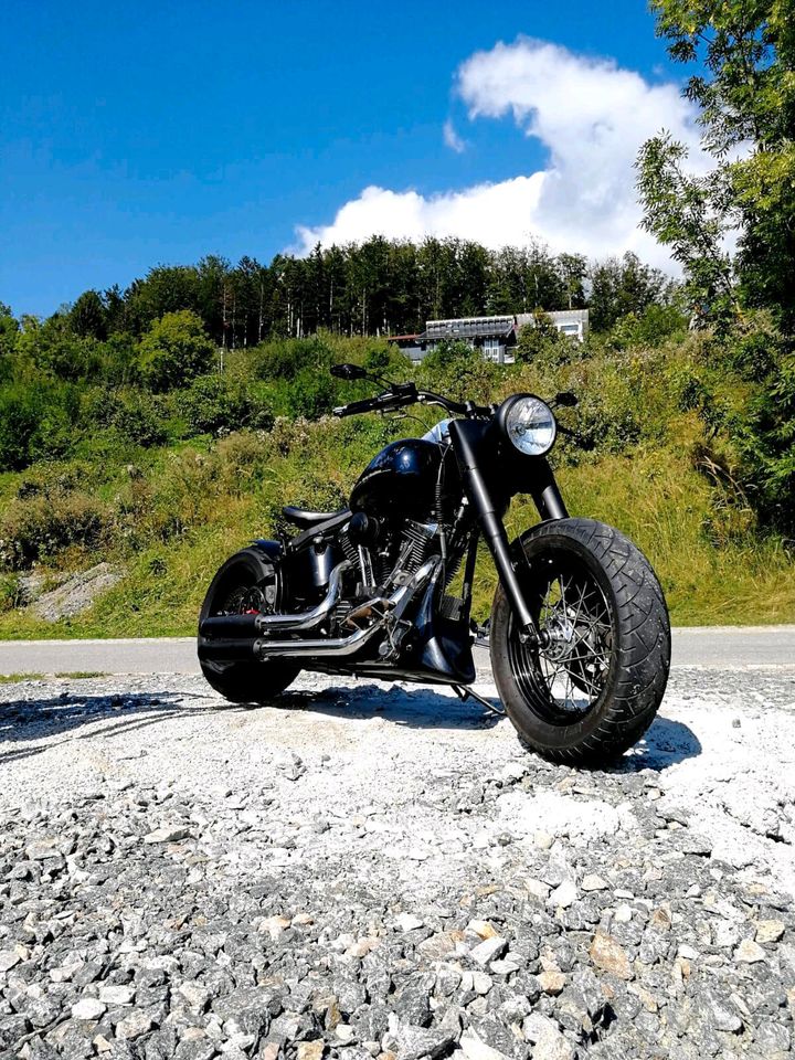 Harley Davidson Softail Heritage Custom in Osterhofen