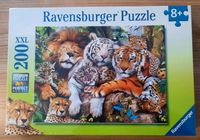 Ravensburger Puzzle 200 XXL "Schmusende Raubkatzen" / NEU Bayern - Großostheim Vorschau