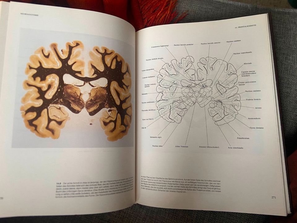 Buch: Neuroanatomie - eine Einführung (Spektrum der Wissenschaft) in Berlin