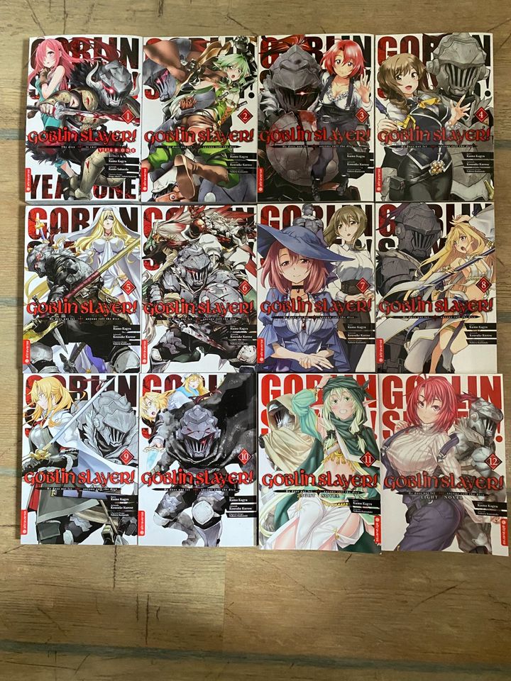 Manga Sammlung - Goblin slayer 8 in Markranstädt