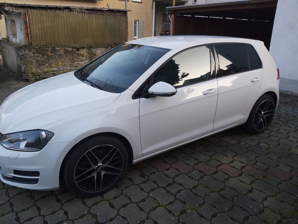 golf 7 weiss in Hessisch Oldendorf