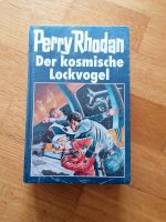 Der kosmische Lockvogel - Roman Wandsbek - Hamburg Rahlstedt Vorschau