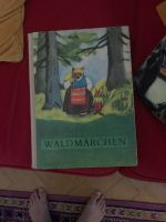 Waldorf Buch: waldmärchen altes Buch Ludwigsvorstadt-Isarvorstadt - Isarvorstadt Vorschau
