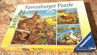 Original Ravensburger Drei Puzzle "Tierkinder", 3x49 Teile,1992 Hamburg-Mitte - Hamburg St. Georg Vorschau