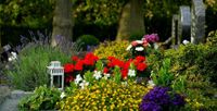 Grabpflege Grabgestaltung Jahreszeitenbeete Gießen Friedhof Hilfe Baden-Württemberg - Efringen-Kirchen Vorschau