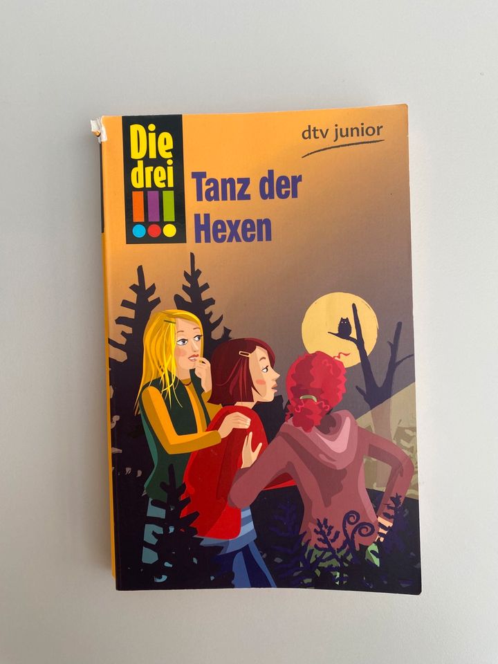 Die Drei !!! zehn verschiedene Bücher in Dasing