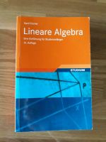 Lineare Algebra Gerd Fischer 16. Auflage Bayern - Griesstätt Vorschau