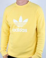 Adidas Trefoil Pullover Sweatshirt gelb XS Nordrhein-Westfalen - Herne Vorschau