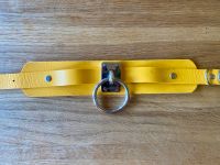 Collier de Chien Parchim - Landkreis - Tessenow Vorschau