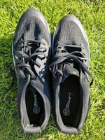 Crivit Herren Schuhe Schleswig-Holstein - Bordesholm Vorschau
