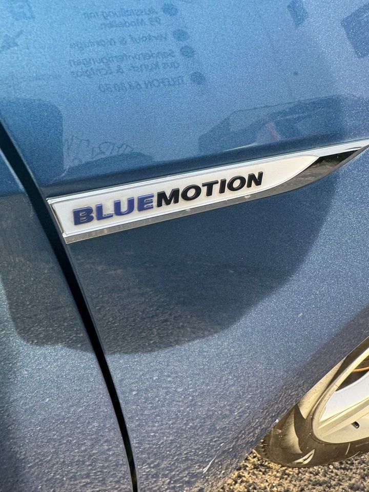 Golf 7 Blue Motion in Köln