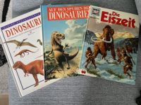 3x Dinosaurier Bücher, für die kleinen Dinofans,sehr schön Berlin - Wilmersdorf Vorschau