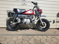 Skyteam Skymini Monkey 125cc Euro 5 Einspritzer Hessen - Schöneck Vorschau