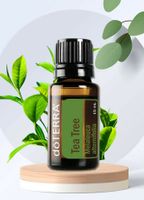 NEU ORIGINAL Doterra Tea Tree Teebaum Melalouca Öl 15ml Niedersachsen - Schneverdingen Vorschau