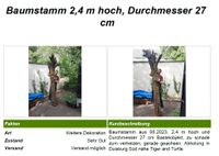 Baumstamm 2,4 m lang Duisburg - Duisburg-Süd Vorschau