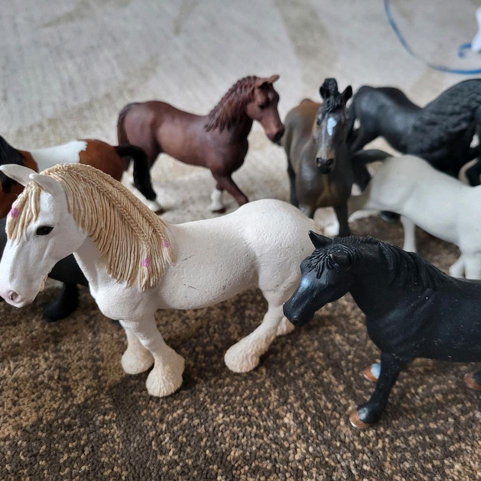 Schleich Pferde Horse Club Hunde Katzen Hasen in Berlin