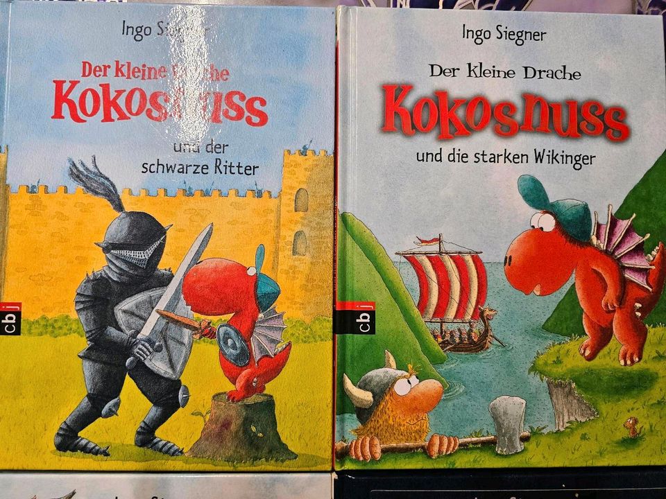Kinderbücher Drache Kokosnuss in Werl