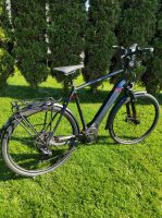 Pegasus Savona premio EVO 10 E-Bike mit ABS Bosch Schleswig-Holstein - Itzehoe Vorschau