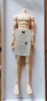 BJD Souldoll Vito Elan Body mit Coa Mecklenburg-Vorpommern - Wiek Vorschau