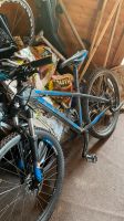 Cube Mountainbike 28 Zoll Nordrhein-Westfalen - Gladbeck Vorschau