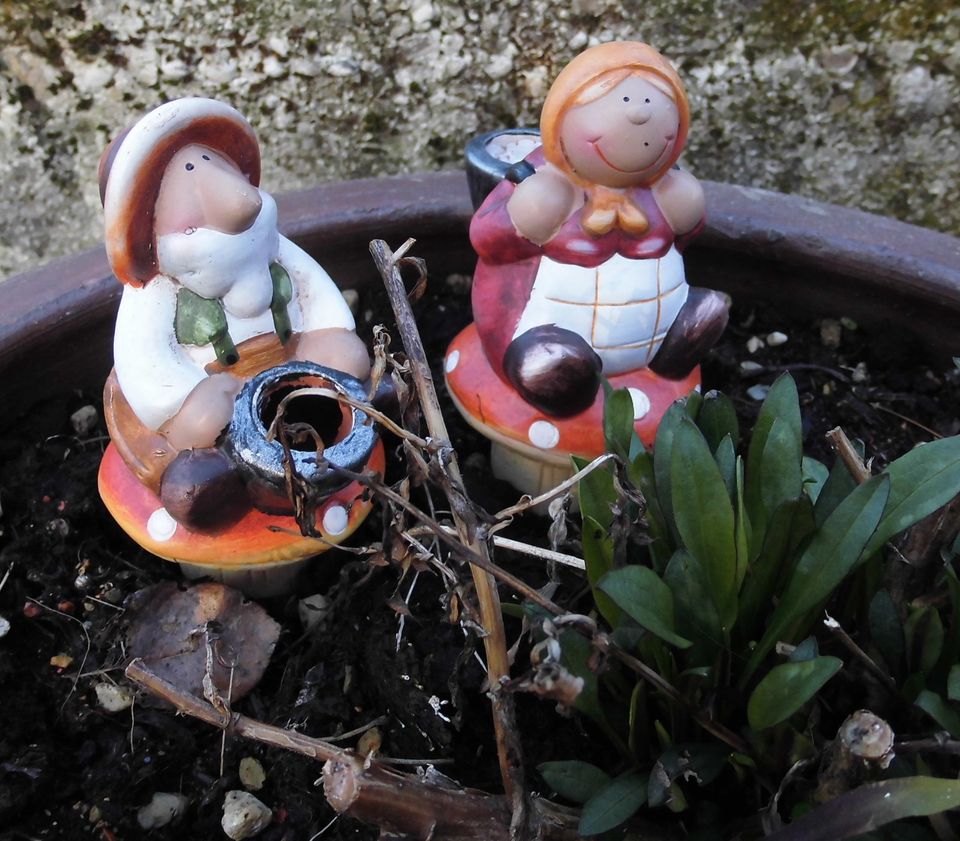 2 Pflanzen Wasserspender im Set.Keramik Neu in Lahr (Schwarzwald)