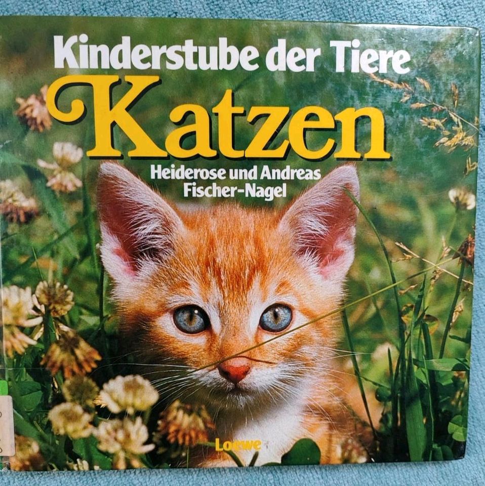 Natur-, Tier- und Wissensbücher in Kirchberg (Hunsrück)