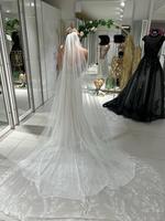 Schleier Ivory mit Spitze Bayern - Sachsen bei Ansbach Vorschau